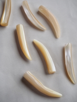 カット-タカセガイ 牙【約5×30mm/1個】[メール便可]まとめ買い10%OFF #1174 En:Shell beads Trocus