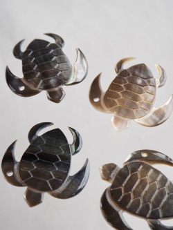 シェルビーズ-プレート カメ(クロチョウガイ)【約30mm/1個】 [メール便可]まとめ買い10%OFF #1255 En:Shell Beads -Black MOP 貝殻