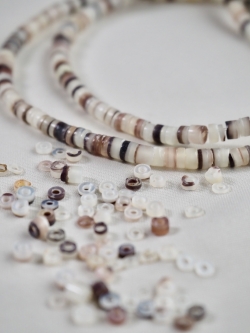 ハンマーシェル#17【約0.2～0.3cm/1本約60cm】[メール便可] En: Shell aaccessory,hammer shell 貝殻
