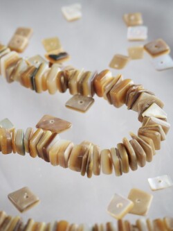 ゴールドリップ#23【約0.6～1.2cm/1本約40cm】(シロチョウガイ)[メール便可-10袋まで] En: Shell Beads, gold lip 貝殻