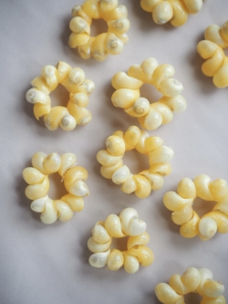 モンゴスイエローリング(約1.5～2cm)En:Shell Ring , mongos yellow 貝殻