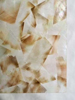 貝殻シート#20 大 ブラックリップ（クロチョウガイ）【29×29cm 厚さ0.18-0.2mm 】En: Shell veneer -black lip