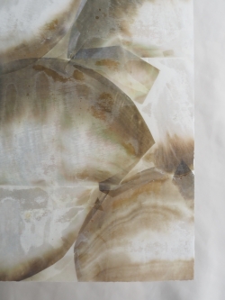 貝殻シート#21 ブラックリップ（クロチョウガイ）【14×24cm 厚さ0.18-0.2mm 】En: Shell veneer -black lip 貝殻