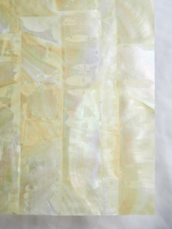貝殻シート#24 ゴールドリップ（キチョウガイ）【14×24cm 厚さ0.18-0.2mm 】En: Shell veneer - gold lip