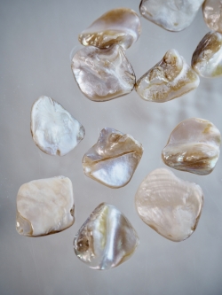 シェルビーズ- ストーン(淡水真珠貝)【10-20mm前後/約10cm・約5個】#276[メール便可]まとめ買い10%OFF  En:Freshwater pearl MOP - Shell Beads 貝殻