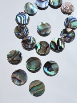 シェルビーズ -ラウンド(パウアアバロン-ヘリトリアワビ)【約10mm(約10cm・約10個)】[メール便可]まとめ買い10%OFF #1319 En: Shell Beads -Haliotis iris 貝殻