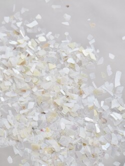 シェルフレーク(シロチョウガイ)【約1～3mm(約10g)】#1277[メール便可]まとめ買い20%OFF
