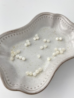淡水真珠貝 - 丸ビーズ【約3mm/約34個・約10cm】[メール便可]まとめ買い10%OFF #301 貝殻