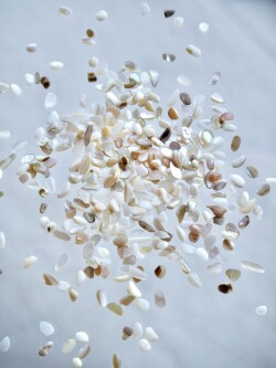 シェルフレーク(淡水真珠貝)【約2～4mm(約10g)】#1285[メール便可]まとめ買い20%OFF