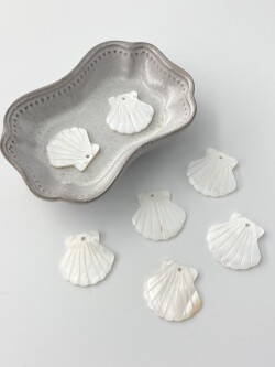シェルプレートビーズ-シェルカット（淡水真珠貝）【約23×22ｍm/1枚】[メール便可]まとめ買い10%OFF #244