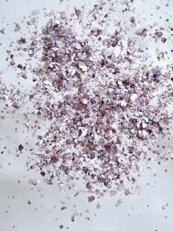 シェルフレーク(バイオレット)アコヤガイ【約1～2mm(約2g)】#2003[メール便可]まとめ買い20%OFF