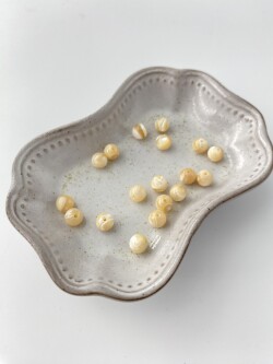 タカセガイ - 丸ビーズ【約6mm/約18個・約10cm】[メール便可]まとめ買い10%OFF #287 En:Trocus - Shell Beads 貝殻