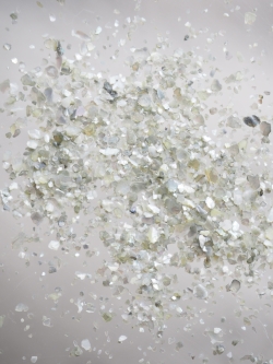 シェルフレーク(グリーン)アコヤガイ【約1～2mm(約2g)】#2034[メール便可]まとめ買い20%OFF