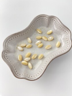 タカセガイ - オーバルビーズ【約8×4mm/約13個・約10cm】[メール便可]まとめ買い10%OFF #288 En:Trocus - Shell Beads 貝殻