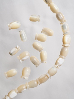 シェルビーズ-チューリップ- (タカセガイ)＃102【約8mm/約10cm・約12個】[メール便可]まとめ買い10%OFF 貝殻