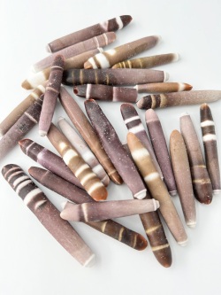 パイプウニ大【約5～8ｃｍ/100ｇ】[メール便可-2袋まで]  En:Spines of Red pencil urchin (Size:5-8cm, per 100g) 貝殻