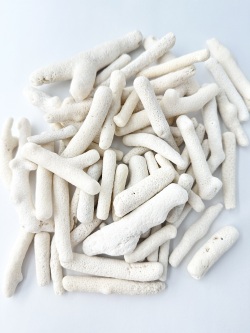 枝サンゴ-Ｍ-【約3～10ｃｍ/約1ｋｇ】 - Not for overseas sale -