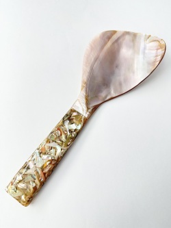 シェルスプーン #3026【21ｃｍ前後】1本　 En:Shell Spoon (size:approx.21cm)