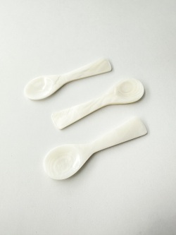 シェルスプーン #3023【約8ｃｍ】 En:Shell Spoon (size:approx.8cm)