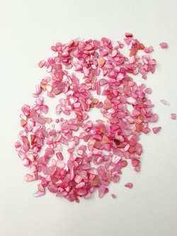 シェルフレーク(ピンク)アコヤガイ【約1～4mm(約2g)】#2075[メール便可]まとめ買い20%OFF 貝殻