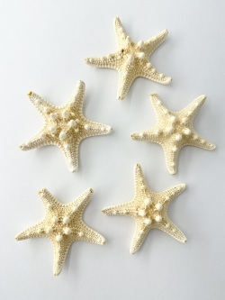 コブヒトデ★B品【9ｃｍ前後/5個入り】 En: Philippine starfish B grade (size:9cm, per 5pcs) 貝殻