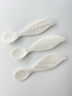シェルスプーン #3047【12ｃｍ前後】 En:Shell Spoon (size:approx.12cm)