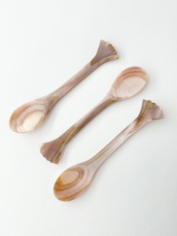 シェルスプーン #3054【12.5ｃｍ前後】 En:Shell Spoon (size:approx.12.5cm)