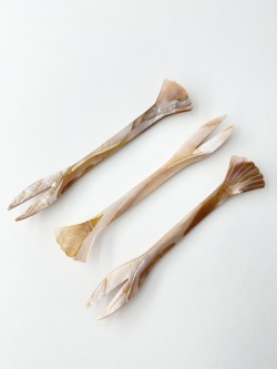 シェルフォーク #3055【12.5ｃｍ前後】 En:Shell  fork (size:approx.12.5cm)