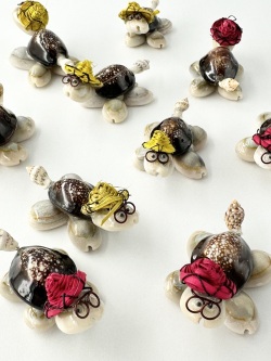 開運☆亀は万年【約4～6ｃｍ/10個入】  En: Shell Turtle (Size:4-6cm, per 10pcs)