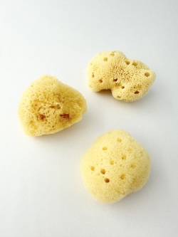 特選海綿【約5～6cm/3個入】[メール便可-4袋まで]　  En: Sea sponge(Size:5-6cm, per 3pcs)