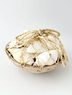 ホワイトシェル詰め合わせ（ネット入）【12ｃｍ前後/1個】En: White shell pack with coconuts plate (plate size:12cm, per 1pc) 貝殻
