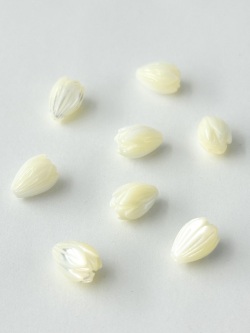 シェルビーズ - つぼみ小-片穴 (タカセガイ)【約11×8mm/1個】 [メール便可]#2106 まとめ買い10%OFF En:Trocus - Shell Beads -flower bud 貝殻