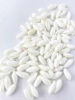 ライスシェルホワイト【1ｃｍ前後/約100個入】[メール便可]  En: Rice shell white(Size:1cm, per 100pcs)