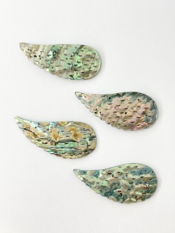 シェルパーツ-翼(パウアアバロン)【約27×57mm/1個】[メール便可]まとめ買い10%OFF #2155 En:Shell parts -Haliotis iris 貝殻