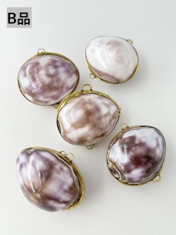 [B品]貝殻の小物入れ-タカラガイ(ムラサキ)-【6cm前後/1個】   En: Shell coin purse -cowrie- B grade(size:approx.5cm, per 1pcs) 貝殻