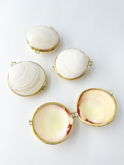 貝殻の小物入れ-ツキガイ(ミニ)-【6cm前後/1個】 En:  Shell coin purse -codakia tigerina- (size:approx.6cm, per 1pcs)