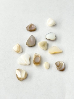 シェルフレーク ナチュラル(淡水真珠貝)【約5～10mm程度(約2g)】#2053[メール便可]まとめ買い20%OFF 貝殻