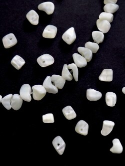 シェルビーズ - さざれ(タカセガイ)【約5-10mm/約10cm(約20個)】 [メール便可]まとめ買い10%OFF #111 貝殻