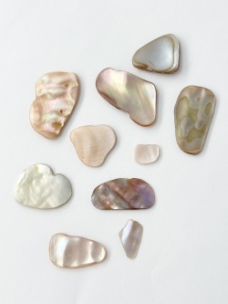 シェルフレーク(淡水真珠貝)【10～25mm程度(約10g)】#2080[メール便可]まとめ買い20%OFF 貝殻