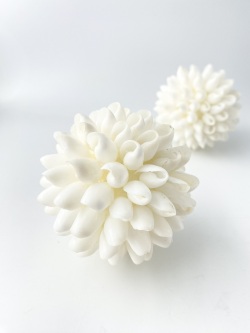 シェルボール/バブル【直径約7～8ｃｍ/1個】 En: Shell ball, bubbles shell (size:7-8cm, per 1pc)