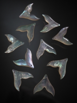 シェルビーズ - ホエールテール(ターバンシェル)【約20×20mm/1個】 [メール便可]まとめ買い10%OFF #1072 En:Shell Beads -turbo shell 貝殻