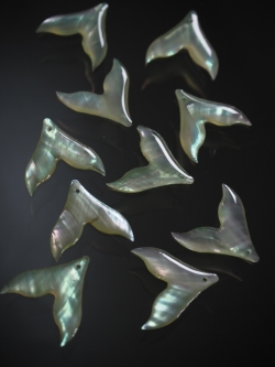 シェルビーズ - ホエールテール イエローグリーン(シロチョウガイ)【約20×20mm/1個】 [メール便可]まとめ買い10%OFF #1076 En:Shell Beads -White MOP 貝殻