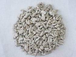 サンゴ砂 中国産 40 50mm中心 約400ｇ サンプル販売 メール便 お一人様2袋まで 貝殻の問屋さん