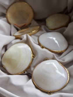 貝殻の小物入れ-ティグリナ(ツキガイ)磨き ホワイト-【6.5cm前後/1個】 En:  Shell coin purse -codakia tigerina polished(White)- (size:approx.6.5cm, per 1pcs)