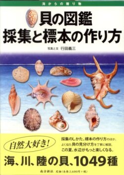 【図鑑】貝の図鑑　採集と標本の作り方