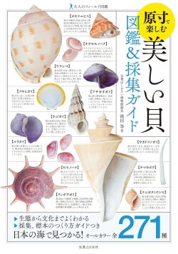 【図鑑】美しい貝図鑑＆採集ガイド　（大人のフィールド図鑑）