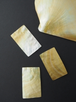 真珠貝プレート -　シロチョウガイ(長方形)【約3.5ｃｍ×5ｃｍ/1枚】[メール便可]   En: Shell Rectangle Cut, white MOP (size:3.5*5cm, per 1pc) 貝殻
