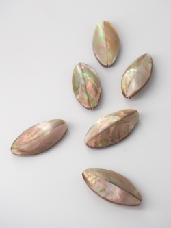 マベ オーバル 小【約3cm】[メール便可] En: Shell accessory (size:3cm) 貝殻