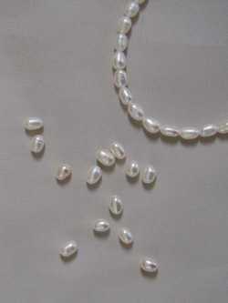 淡水パール -ライス小-両穴（通し穴）【約3.0×4.0mm】#500[メール便可] 貝殻