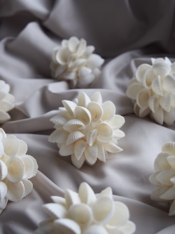 シェルボール/クラムローズ【直径約5ｃｍ/1個】 En: Shell ball, clam rose (size:5cm, per 1pc)